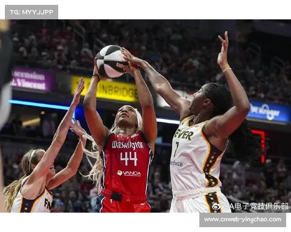 2025赛季WNBA平均上座人数达10986人，创历史新高